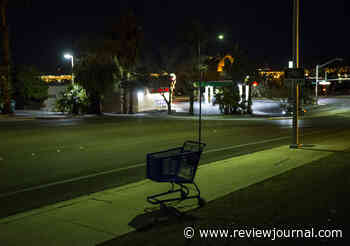 Honolulu considers fining, jailing homeless over shopping carts
