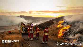 Lessons need to be learned from wildfires, minister admits