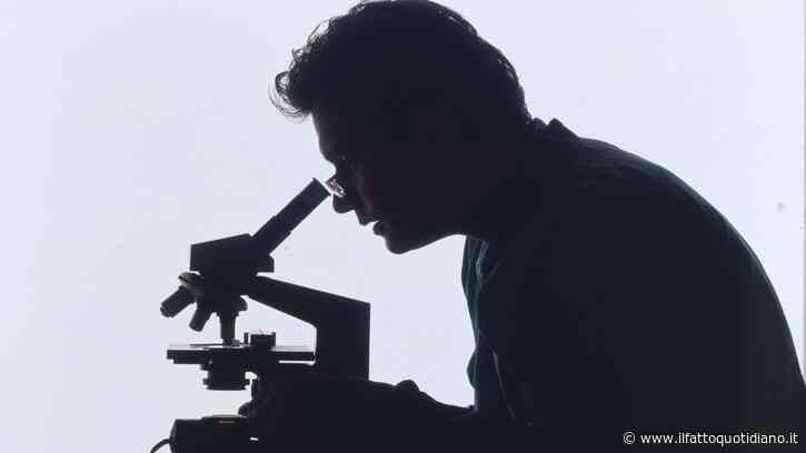 Organoidi cerebrali, ad Harvard il record di sopravvivenza: cinque anni in laboratorio