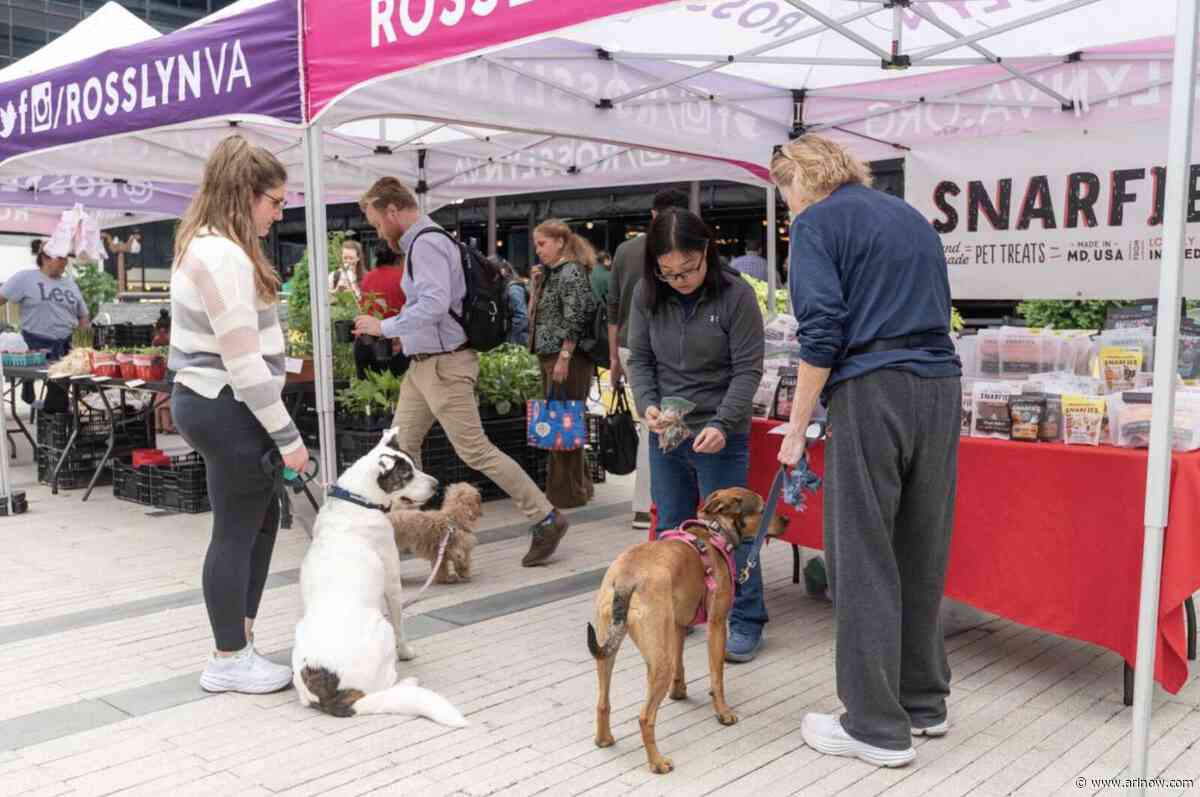 National Dog Day brings pet-friendly merch to Rosslyn next week