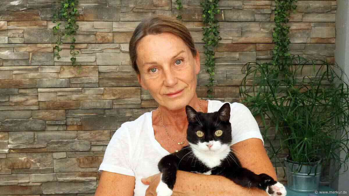 Hund beißt Katze Stück aus der Nase – und attackiert dann die Halterin