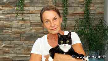 Hund beißt Katze Stück aus der Nase – und attackiert dann die Halterin