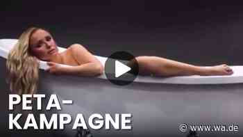 Hayden Panettiere: PETA-Video zeigt letzten Auftritt vor ihrem Tod