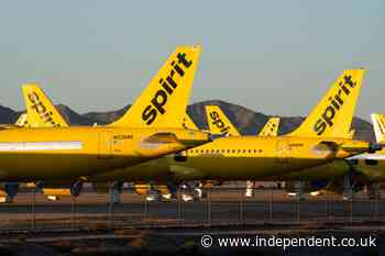 Google is buying up bankrupt Spirit Airlines’ data to feed its AI