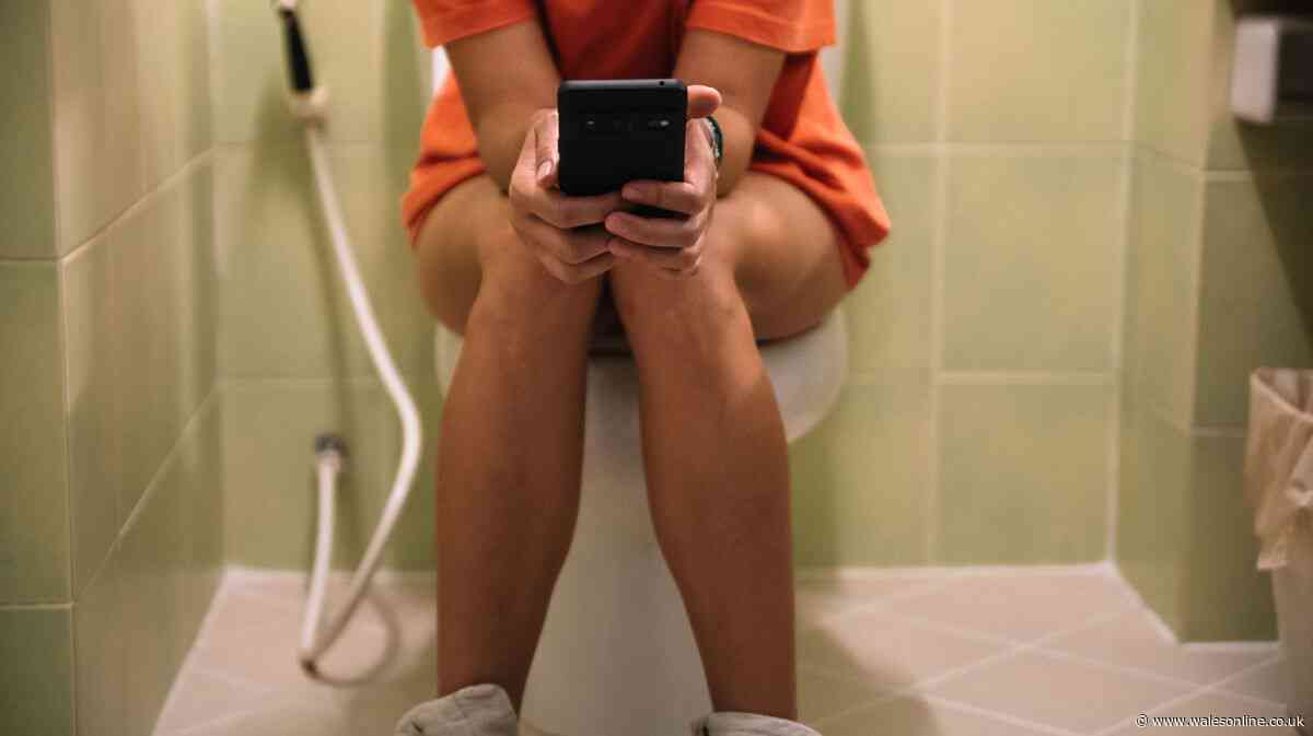 TV doctor says everyone must stop doing these 5 things on the toilet
