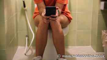 TV doctor says everyone must stop doing these 5 things on the toilet