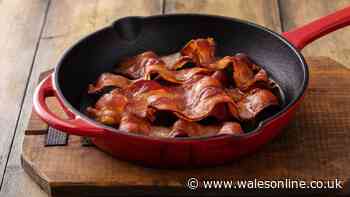 Bacon is crispier if 1 common ingredient is added to the pan before cooking