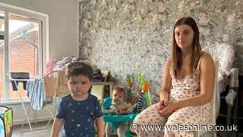 'My family's stuck in a one-bedroom flat. It's mouldy, the shower floods and I'm overwhelmed'