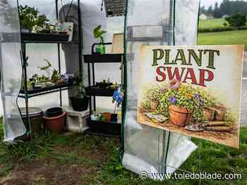 Plant swap stands take root across NW Ohio, SE Michigan