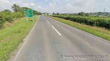 Driver killed in A40 crash