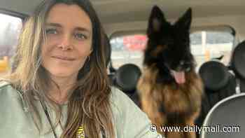 ANNABEL FENWICK ELLIOTT: I adopted Bear, my German shepherd 'lockdown dog', from a shifty man wearing a tracksuit. I was desperate to give him a better life. Then I had a baby - and knew he had to go