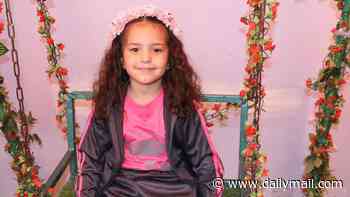 Israeli military launches criminal probe into the death of five-year-old girl whose call for help was broadcast around the world