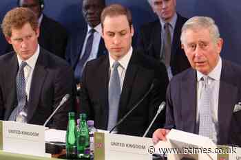 Prince Harry Reportedly Feeling 'Buoyed' and 'Energized' While Prince William Stays Angry Over Memoir 'Spare'