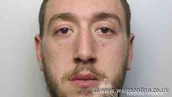 Man accepts voluntary deportation after what police find in his van