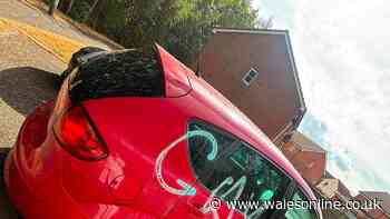 Tyres cut, cars covered in paint and homes egged in Merthyr community targeted by vandals