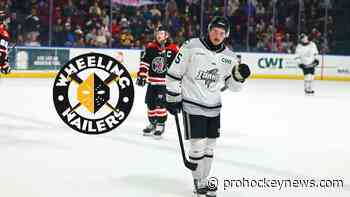 Nailers add Dodero