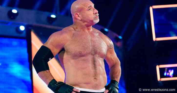 Goldberg Knocked Out Ex-WWE Star With Spear Before He Was Ready