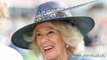Queen Camilla braves heavy downpours as she breaks away from Balmoral to enjoy York races