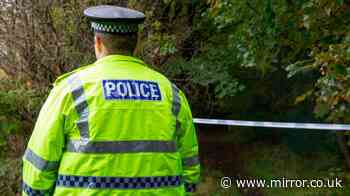 Boy, 12, arrested after reports girl, 8, was sexually assaulted in playground