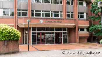 Syrian man, 27, charged with sexually assaulting two teenage girls in hotel