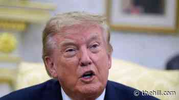 Trump celebrates Florida loss of 'treasonous creep'