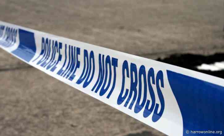 Murder investigation launched after woman dies in suspected deliberate fire in West London