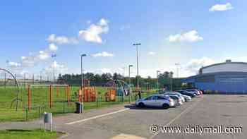 Boy, 12, is charged after eight-year-old girl 'was sexually assaulted in playpark'