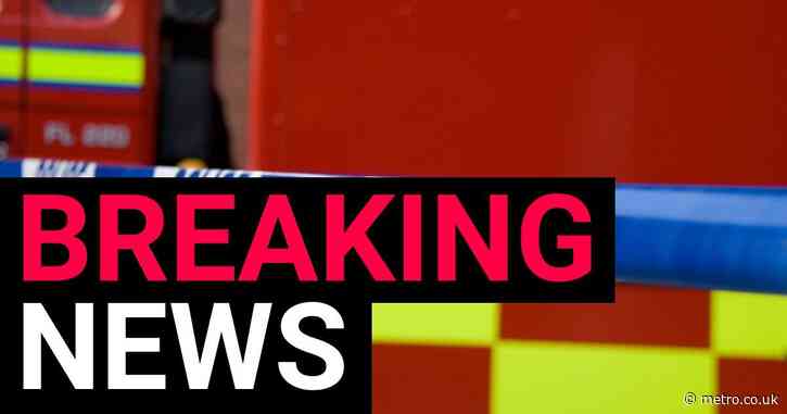 Murder investigation launched after woman dies in Hounslow house fire