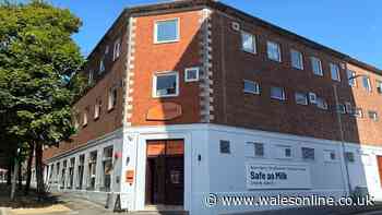 The former Swansea department store now thriving as something completely different