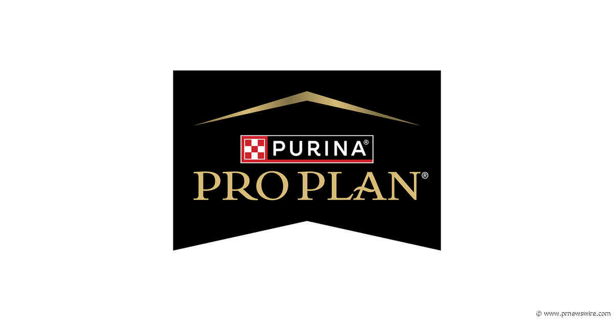 Purina Veterinarian Explains Why Senior Dog Nutrition Needs to Start Earlier Than Owners Expect