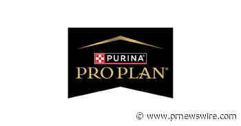 Purina Veterinarian Explains Why Senior Dog Nutrition Needs to Start Earlier Than Owners Expect