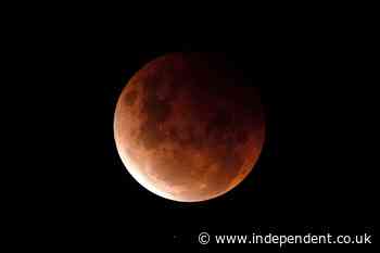 Breathtaking ‘blood moon’ lunar eclipse will be visible in US and Canada next week. Here’s how to see it