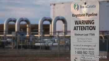 Key dates in Keystone XL pipeline as Trump claims contentious project being revived