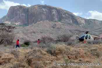 Telemundo executive among seven killed in tourist helicopter crash in Kenya