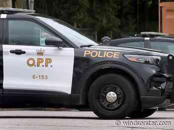 OPP drug raid leads to woman's arrest in Essex