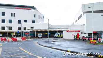 Privately funded Scots hospital to cost taxpayers tens of millions of pounds as it transfers to NHS next year