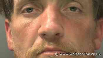 Prolific shoplifter banned from every Tesco in Newport caught again