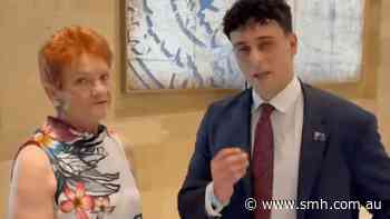 One Nation denies fringe influencer is a member after he supports neo-Nazi rights
