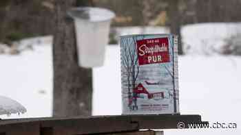 Fake maple syrup class action now targeting major grocery store chains