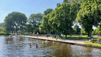 Hitte in Haarlem