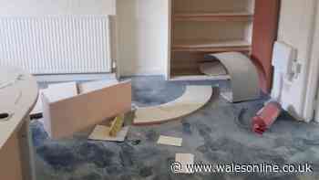 Reform UK politician's office trashed by vandals