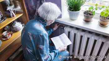 DWP confirms full list of everyone eligible for £300 winter fuel payment