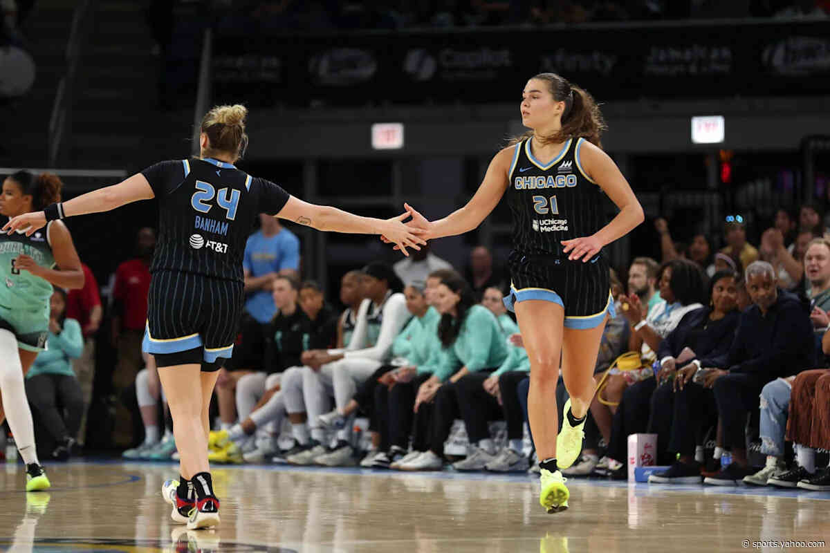 The Phoenix Mercury just added a standout wing