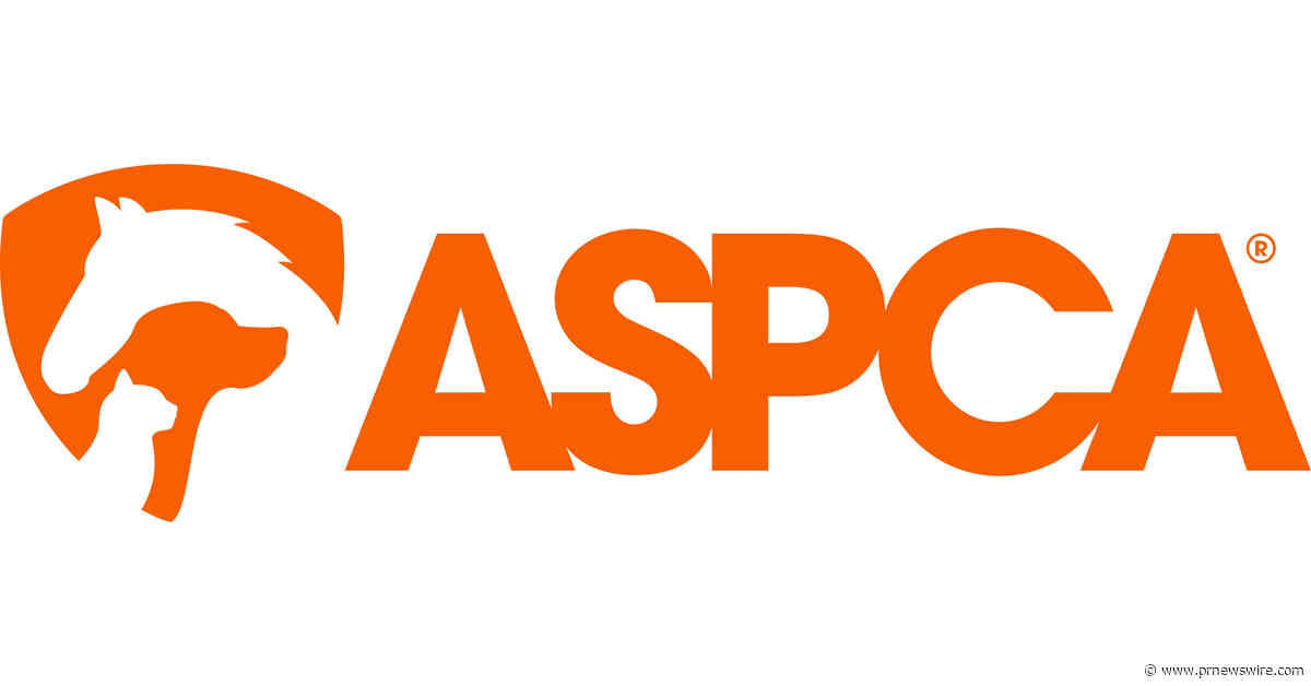 ASPCA Launches Direct Support Grant to Assist with New World Screwworm Outbreak
