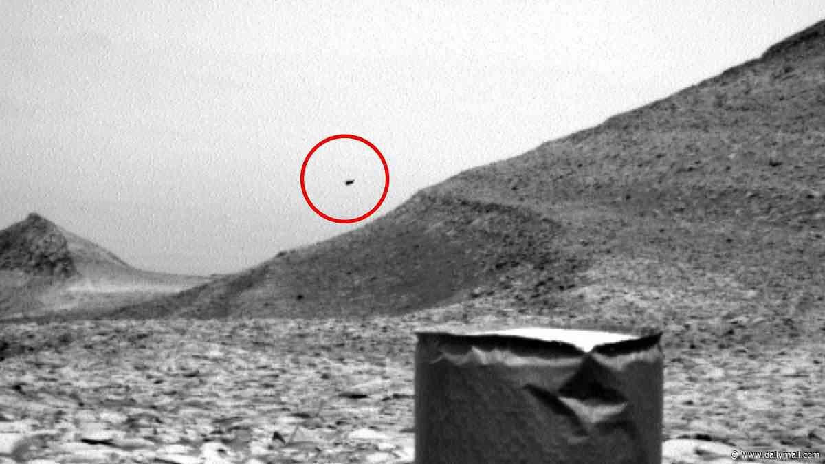Mysterious 'flying' object in NASA Mars photo sparks theory of extraterrestrial life on the Red Planet
