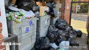 Uncollected bins leave stench at flats in heatwave