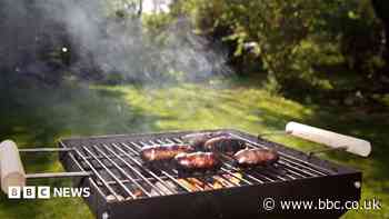 People urged not to report neighbours' barbecue use