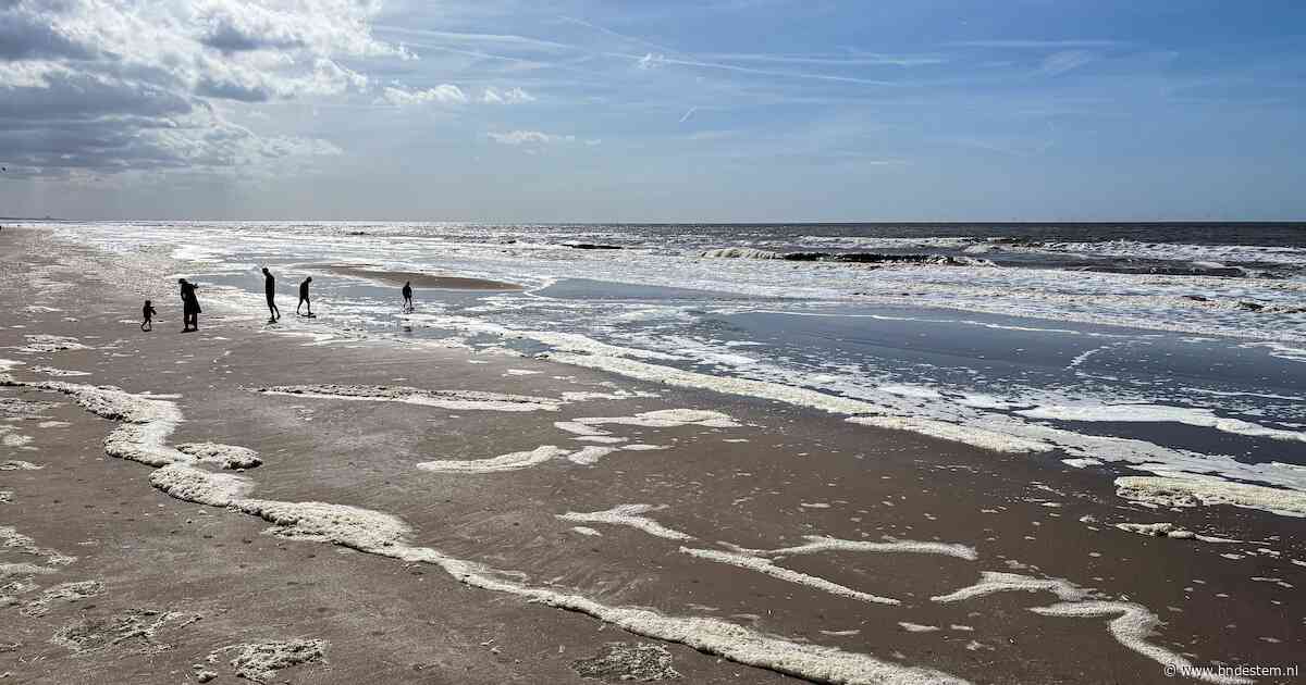 KNMI: Noordzee was niet eerder zo warm