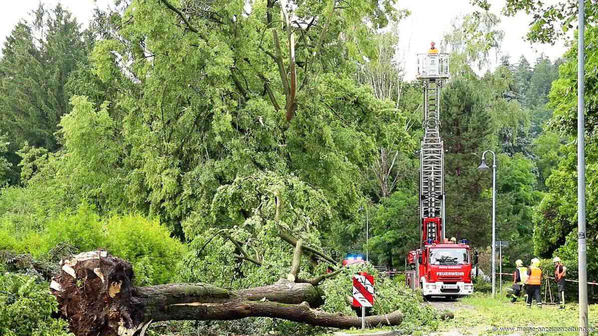 Schwere Unwetter in Rheinland-Pfalz - Schäden und Verletzte