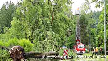 Schwere Unwetter in Rheinland-Pfalz - Schäden und Verletzte